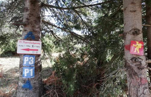 Olympus Country House - Foto 28