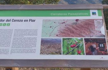 El Cantillo del Jerte - Foto 42