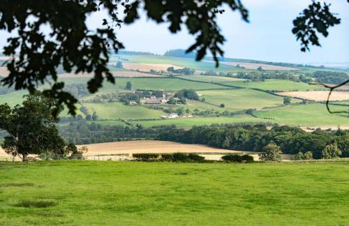 The Kennels - Foto 35