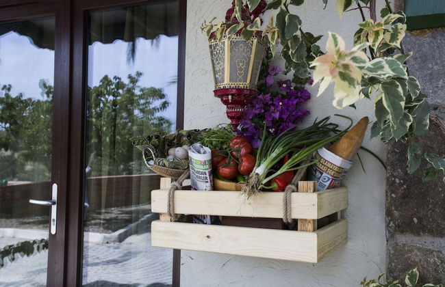 Palmiye Tepesi - Foto 45