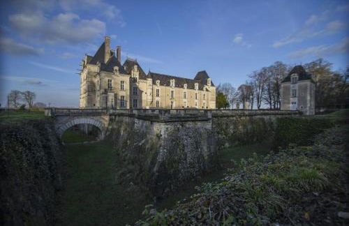 Chateau De Jalesnes - Photo 29