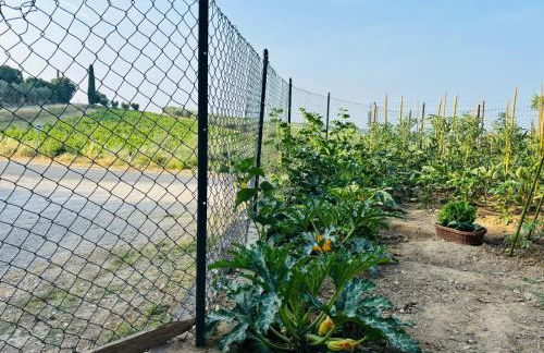 Cozy house in the Chianti region - Foto 21