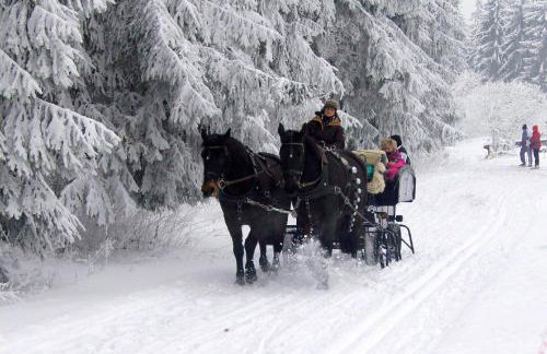 Guest House An der Truse - Foto 41