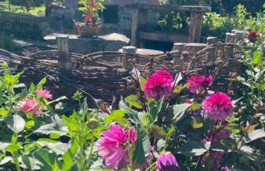 Ferienhaus bei Juste - Foto 18