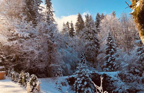 Le Moulin des Olirics - Photo 109