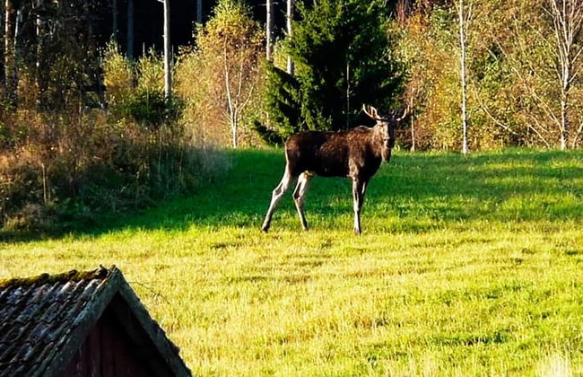 5 Person Holiday Home in Bullaren-by Traum - Foto 11