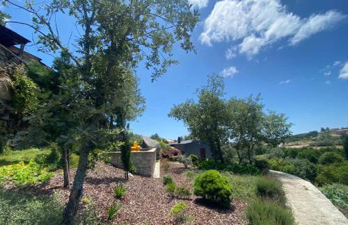 Chalé Mezio - Photo 26