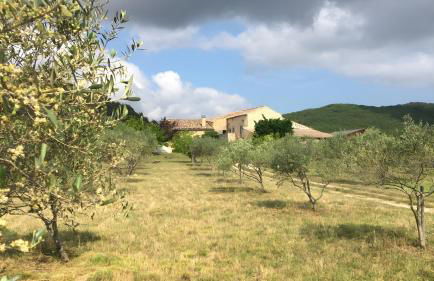 La Voûte Des Oliviers - Photo 18