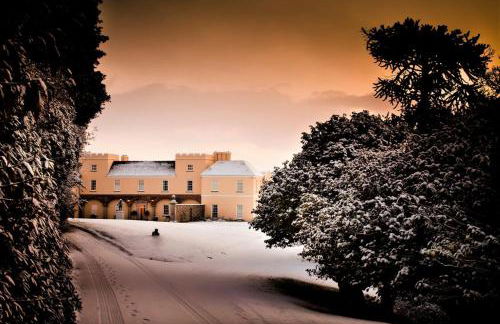 Tamar Castle - Photo 24