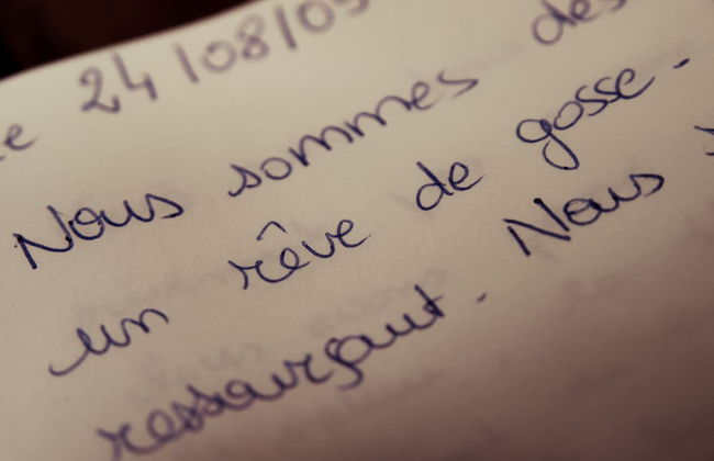 L'Arbre à Cabane - Foto 31