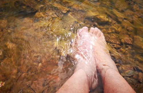 Aroma das Tílias - Foto 34