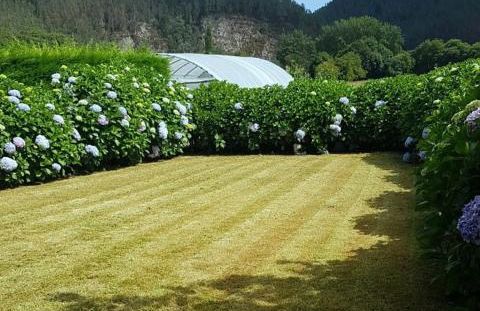 Casa Sergio - Foto 15