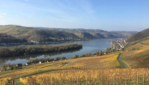 Ferienwohnung Fine - Foto 2