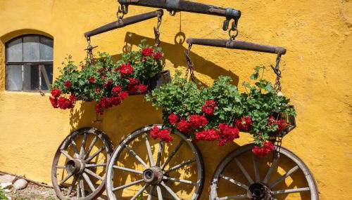 Gutshof an der Alten Linde - Foto 3