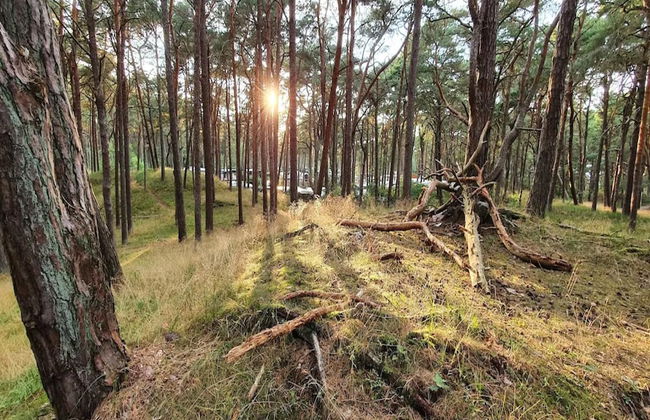 Appartementhaus in Trassenheide - Foto 34
