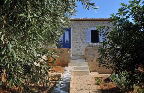 Hydra Erato - Foto 53