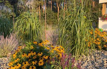 Leśny Horyzont Bałtów - Foto 21