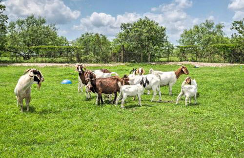 Gingerland Ranch in Del Valle Game Room and Porch - Foto 3