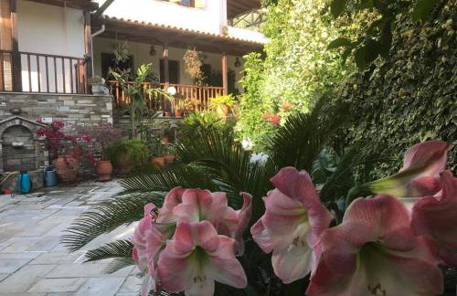 AFISSOS-DREAM 3STUDIOS - Photo 46