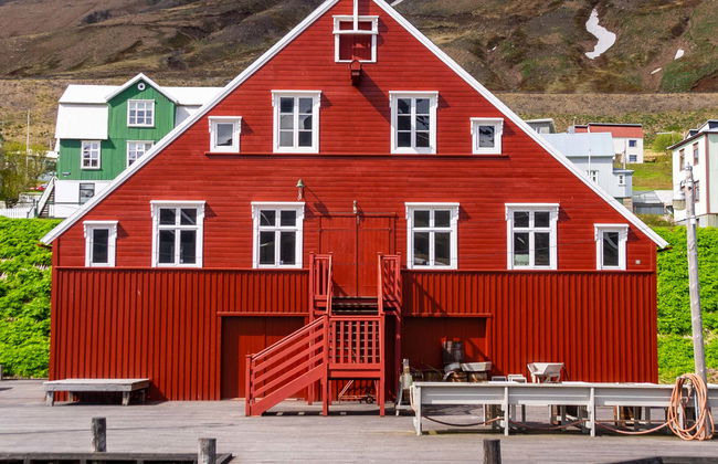 Day Trip to the Arctic Coast - Foto 1