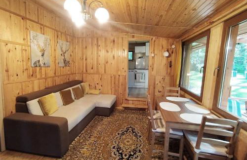 Przylesie Trzebciny - Foto 9