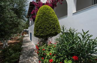 Anixis Studios Aliki Paros - Photo 72