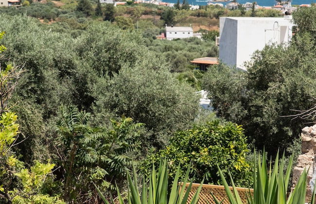 Beit Petra Chania - Foto 53