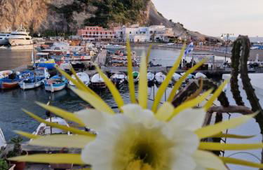 Casa Dei Nonni - Foto 21