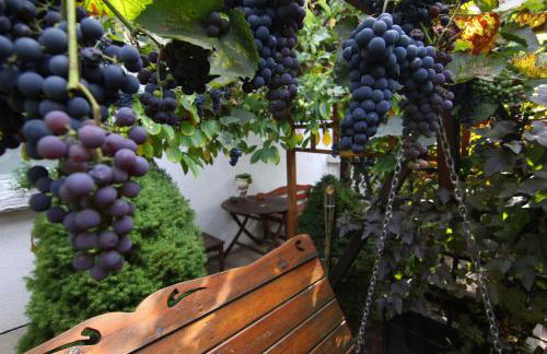 Apartamenty pod Wiciokrzewem - Foto 33