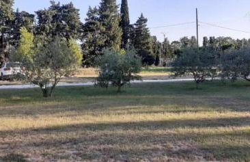 Le petit mas en provence avec piscine - Photo 54