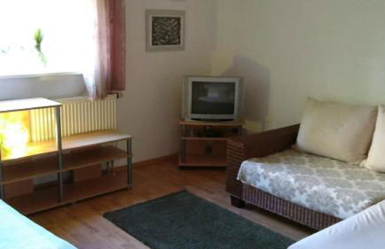 Ferienwohnung Steinwald Ausläufer mit Blick auf Kösseine - Foto 8