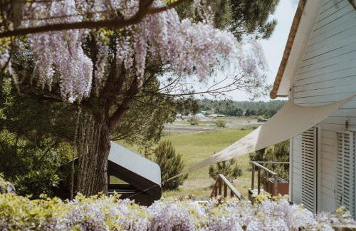 Precious Cabin in Comporta - Foto 8