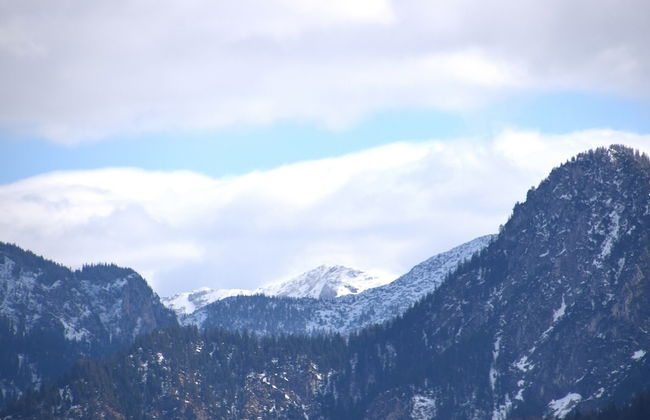 Peaceful Garden Apartment - Foto 31