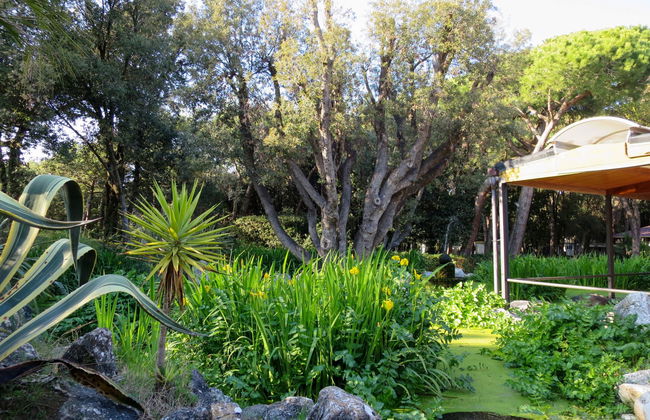 Luxury Tent - Foto 18