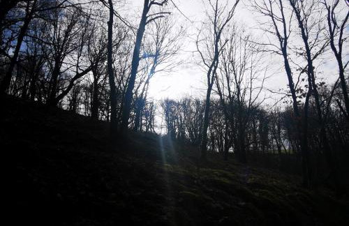 Ferienwohnung EG AusZeit - Foto 46