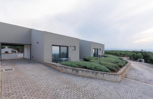 The Olive Hill - Foto 12