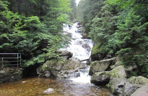 Ferienhaus Zopfhäusl - Foto 52