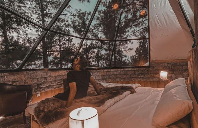 Orangeloft Glamp Park - Photo 8