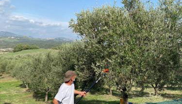 Agriturismo Sant'Emilia - Foto 2, Garden, Garden view