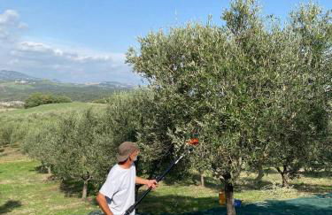 Agriturismo Sant'Emilia - Foto 2