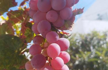 Iro's Cute House - Foto 38