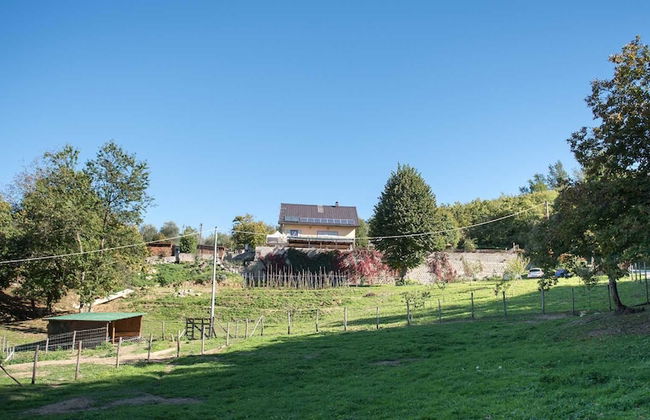 Podere Il Sorriso Degli Angeli - Photo 27