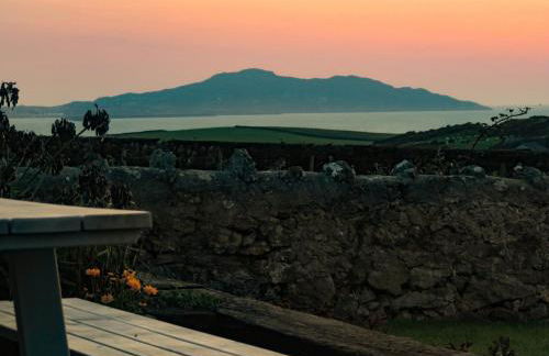 Bryn Môr - Photo 35