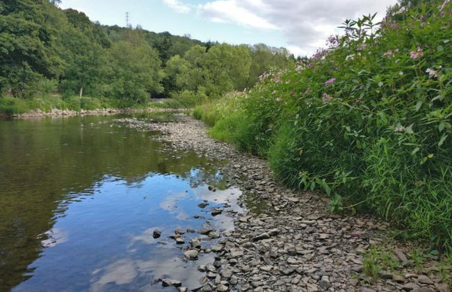 Chalet in Rendeux With Garden - Photo 33