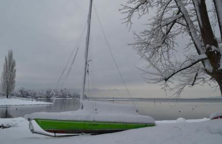 Blütenlodge Bodensee - Foto 49