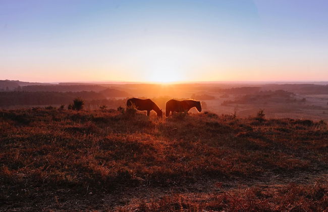 Leeward House - Photo 38