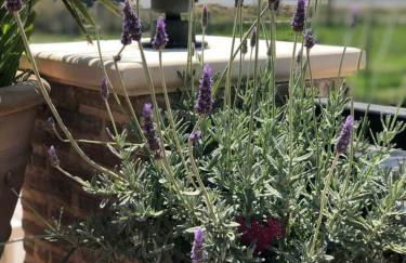 Beach House I&II - Foto 41