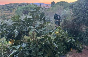 Casa antica Maremma Toscana - Foto 33