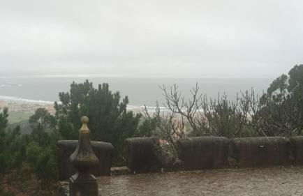 Casa na Floresta - Foto 18