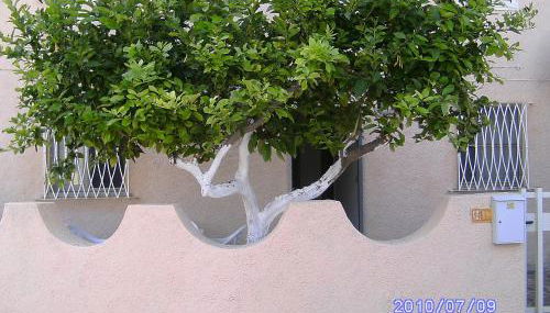 "The Artist's Home" - Foto 3